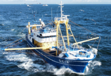 ESB Group | Vissersboot luchtfoto